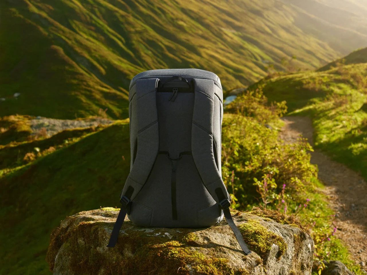 Illustration eines kompakten Tagesrucksacks mit gepolsterten Trägern auf bemoostem Fels